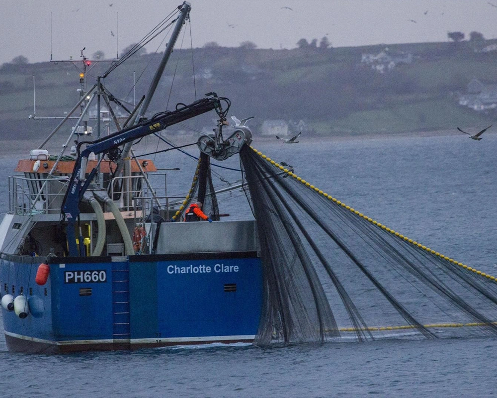 fishing boat plymouth fish locally sourced seafood